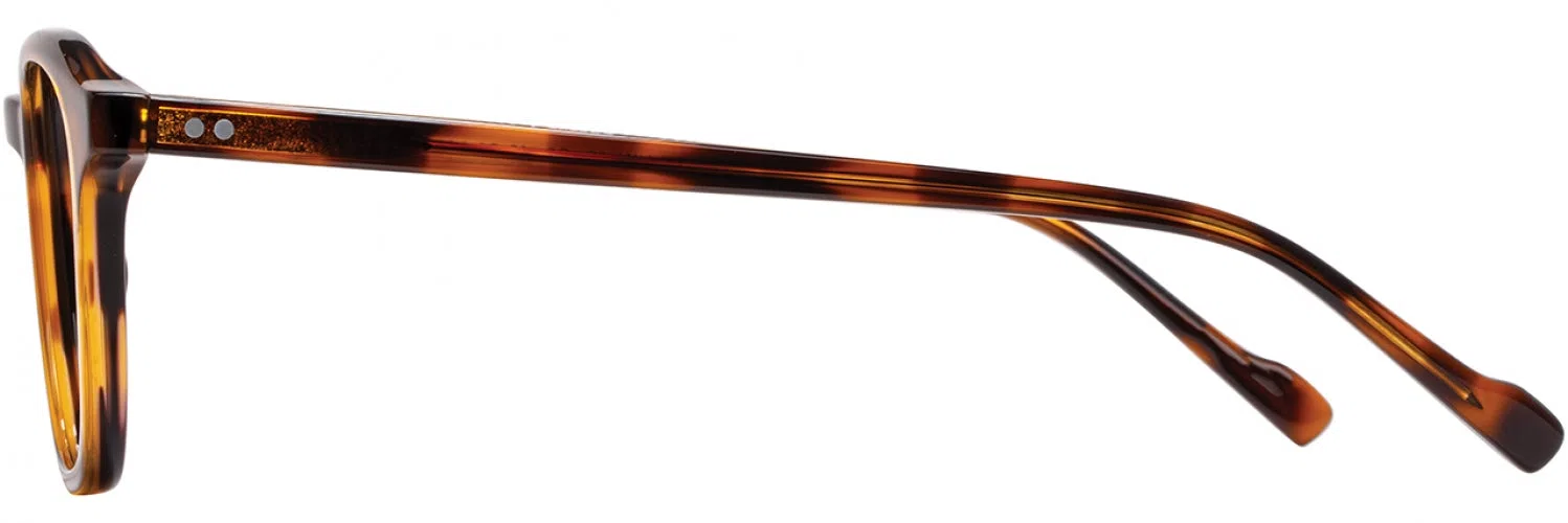 Scott Harris SHVIN65 Eyeglasses - view 8